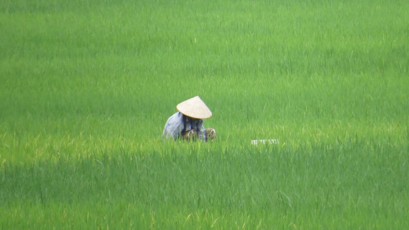 Jour 2 - Hanoi - Nghia Lo