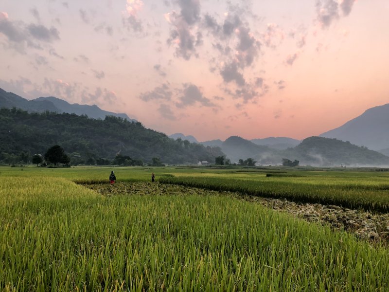 Jour 3 :Hanoï - Duong Lam - Mai Chau