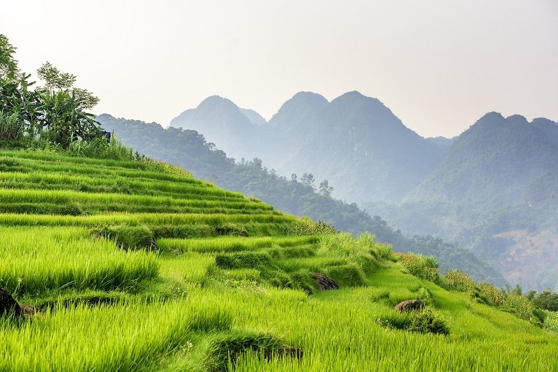 Jour 4 : Mai Chau - Pu Luong