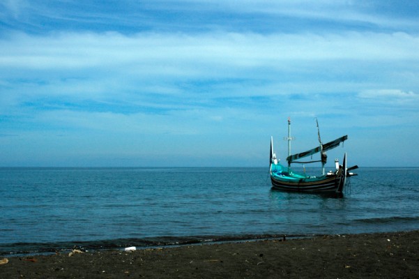 Jour 6 : Pemuteran – Menjangan – Parc national  de Bali Barat - Lovina 