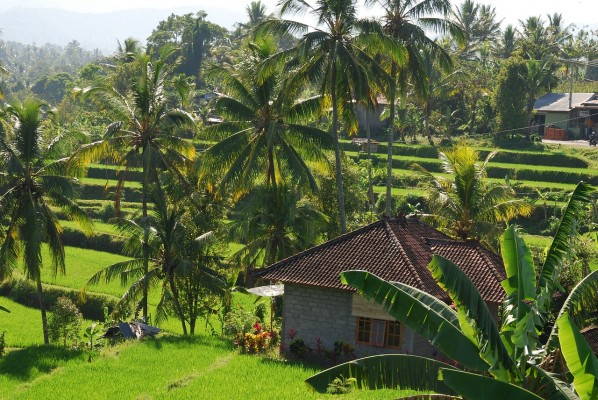 Jour 2 - Ubud - Village Tunjuk - Forêt de singes - Mengwi - Tanah lot - Ubud