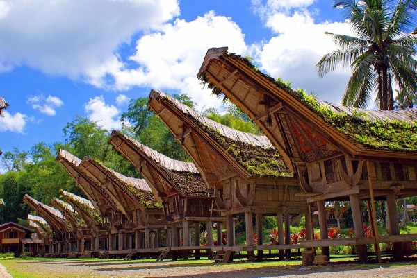 Voyage au Sulawesi, au coeur de la nature Indonésienne 