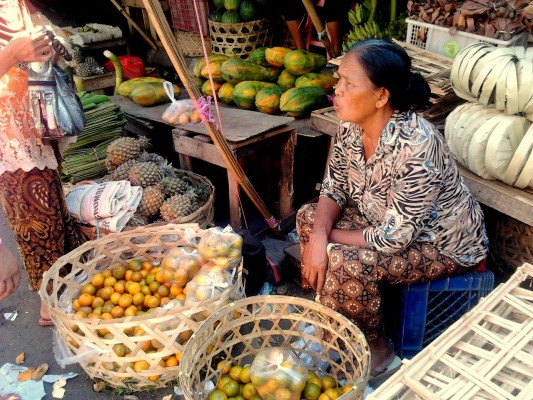 Jour 3 : Ubud