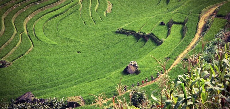 Jour 3 : Une journée au cœur des rizières et minorités de Sapa