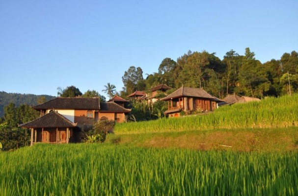 Jour 3 - Munduk : Le Puri Lumbung Cottages
