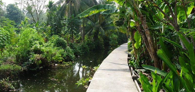 Jour 2 : Découverte de Bangkok à vélo !