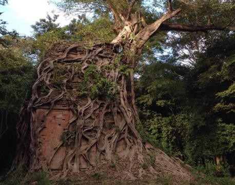 Jour 7 - Kompong Thom : Le temple de Sambor Prei Kuk