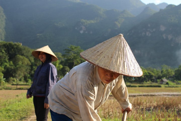 Les indispensables du Vietnam