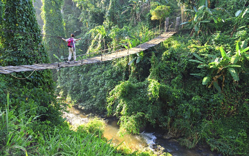 Voyage aventure en Thailande