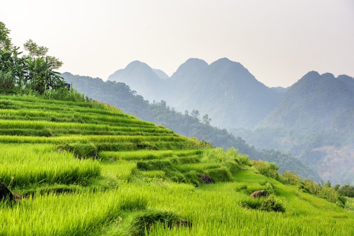 Immersion chez l'habitant dans le nord du Vietnam