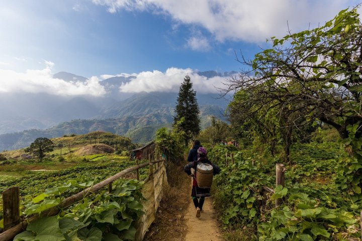 Au Nord du Vietnam