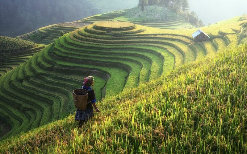 Circuit combiné Vietnam et Cambodge : voyage au coeur de l'Indochine