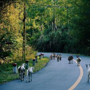 d314b130eb658c9c40ba4d1dc026cb16f98514f811e466a10e063075b74ce145 d314b130eb658c9c40ba4d1dc026cb16f98514f811e466a10e063075b74ce145