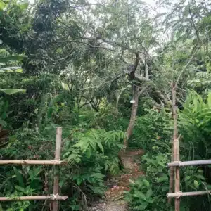 living-place-baanlanna-14 living-place-baanlanna-14