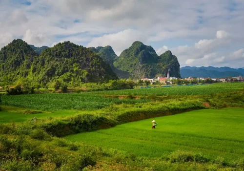 1. Green rice fields surrounded by limestone hills near Phong Nha
