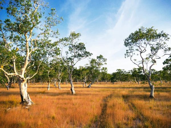 190236164_4378138098884980_8412218625557530549_n