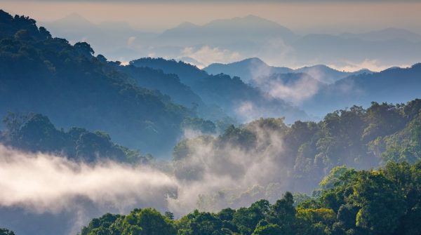 Morning,Mist,At,Tropical,Mountain,Range,this,Place,Is,In,The