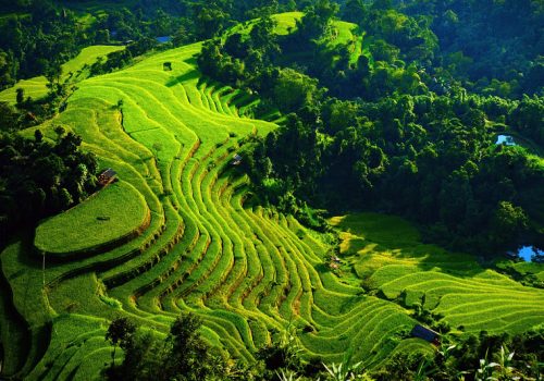 Nậm-Ty-Hoàng-Su-Phì