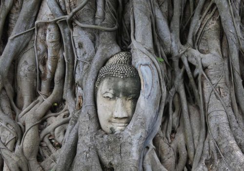 c2a9lespetitsvoyagesdelilly_ayutthaya_7642