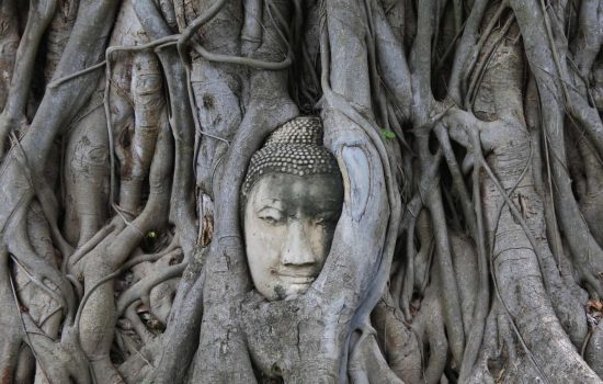 c2a9lespetitsvoyagesdelilly_ayutthaya_7642