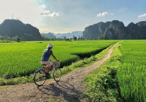 du-lich-ninh-binh-tu-tuc-vinavivu-9230_2024-01-15_306