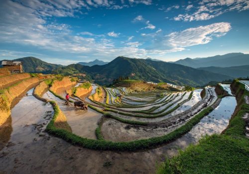 z3463447582487_ea7d985bea893fda7e97b11fe71d1354